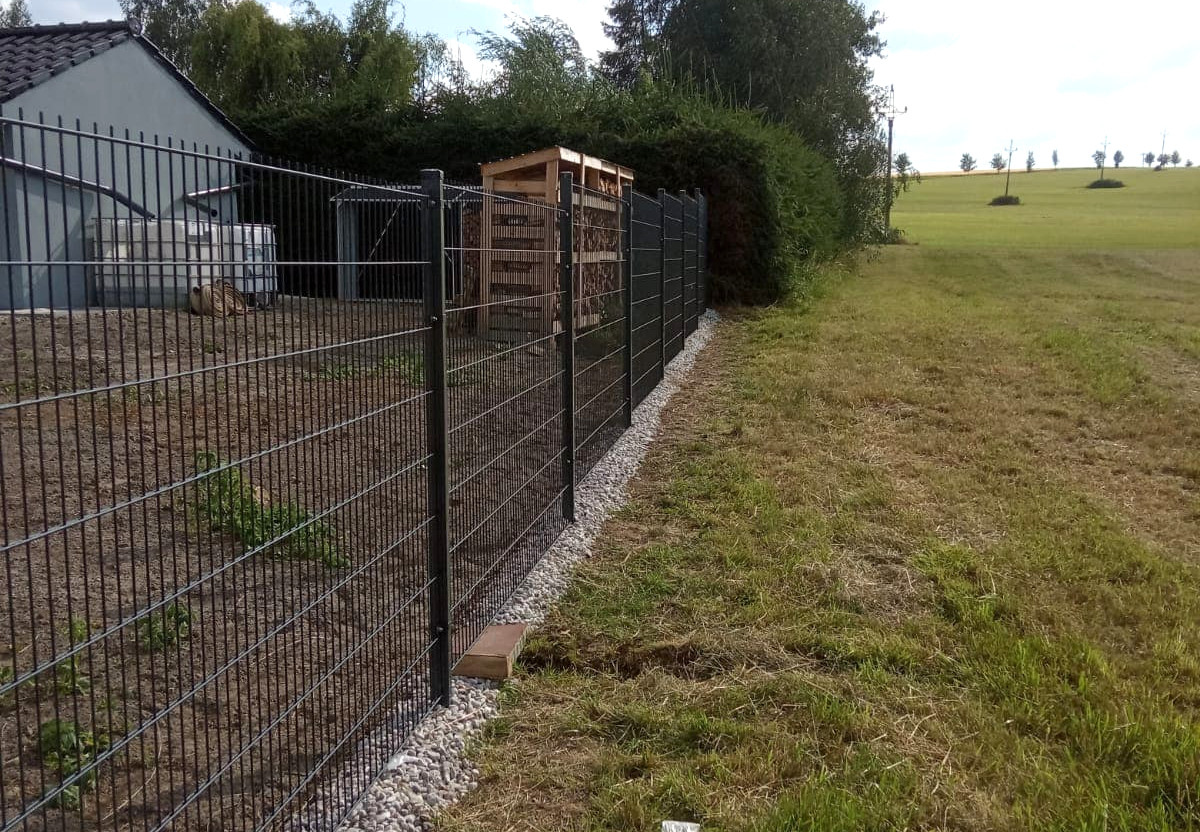 110153837_987880024997364_935140969428647413_n